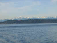 IMG_0170.JPG (297446 bytes)