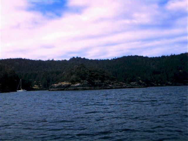 1702.jpg (44264 bytes)