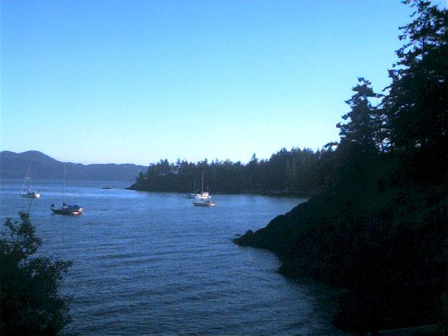 20000709_08.jpg (40475 bytes)