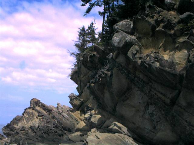 20000712_09.jpg (43883 bytes)