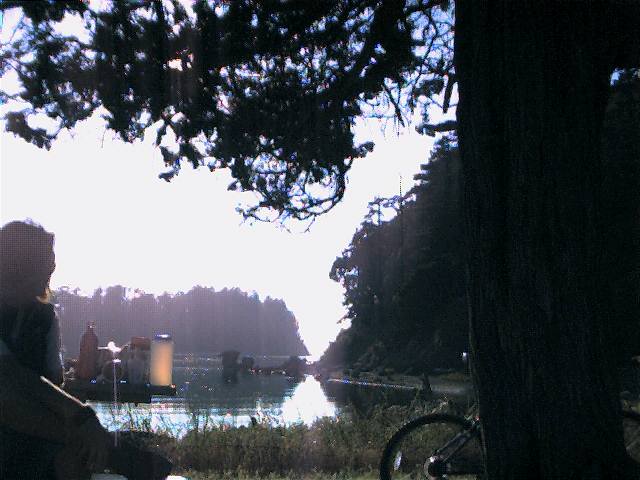 20000712_10.jpg (49855 bytes)