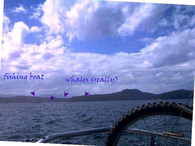 20000714_05.jpg (39538 bytes)