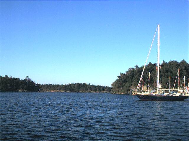 20000716_05.jpg (46641 bytes)