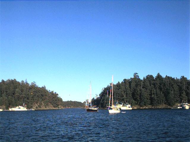 20000716_06.jpg (42025 bytes)