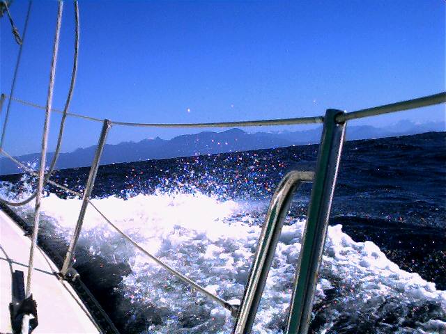 20000716_13.jpg (60173 bytes)