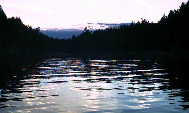7.23_07.jpg (42479 bytes)