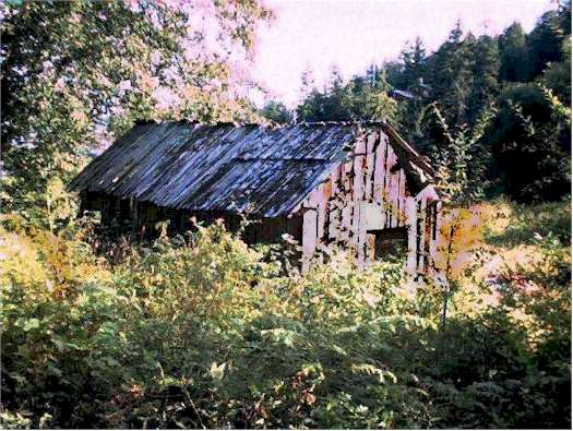 Lund101.jpg (55742 bytes)
