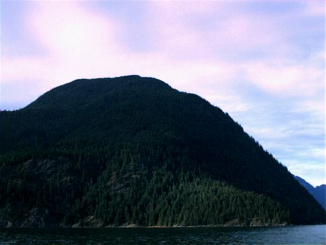 campbell11.jpg (31744 bytes)