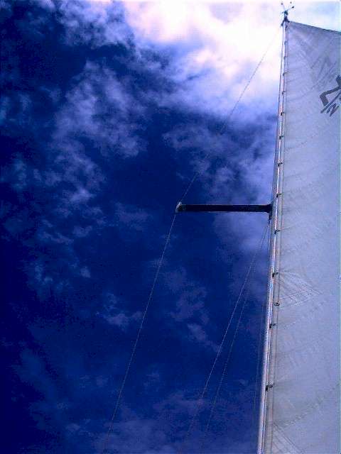 skyward.jpg (75938 bytes)