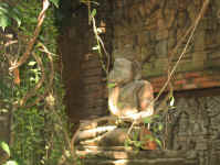 IMG_0349.JPG (418893 bytes)